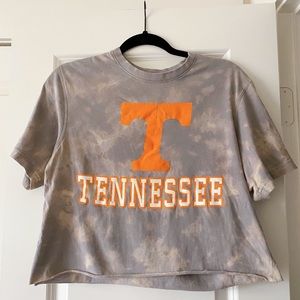 Tennessee volunteers crop